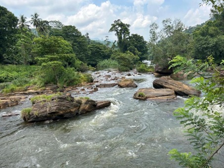 Serene Natural Surroundings of Mohanji Datta Tapovan